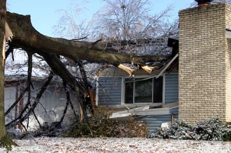 Recovery Tips From A Storm Damage Restoration Pro